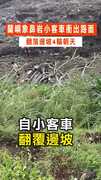 【翻落邊坡】蘭嶼象鼻岩小客車衝出路面　翻落邊坡4輪朝天