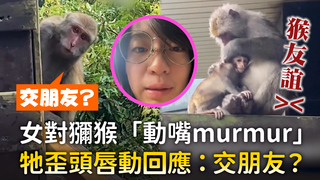 女對獼猴「動嘴murmur」　牠歪頭唇動回應：交朋友？