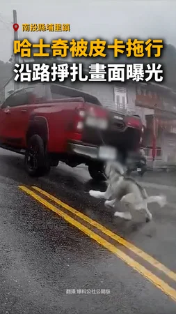 【狗狗狂掙扎】埔里驚見哈士奇被皮卡拖行！警方要查了