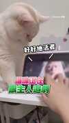【我還沒看完欸】貓咪追劇被打斷竟自己按開始!?