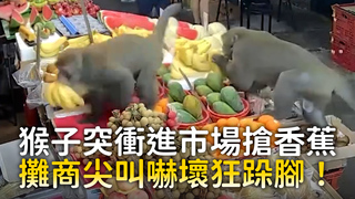 猴子突衝進市場搶香蕉　攤商尖叫嚇壞狂跺腳！
