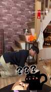 【汪星語溝通】男學狗叫！柴犬聽一聽直接烙跑XD