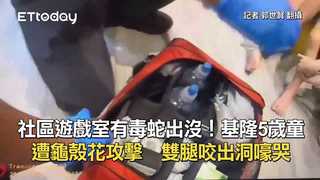 社區遊戲室有毒蛇出沒！基隆5歲童遭龜殼花攻擊　雙腿咬出洞嚎哭