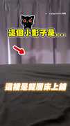 【養到高柴生？】柴柴竟會爬雙層床的梯子還成功上床！