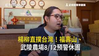 楊柳直撲台灣！福壽山、武陵農場8/12預警休園