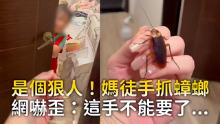 是個狠人！媽徒手抓蟑螂　網嚇歪：這手不能要了...