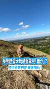 【捕捉飛碟？】英男陪愛犬玩飛盤驚見「幽浮」？　空中拍到不明「高速白影」！　