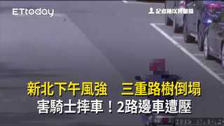 新北下午風強　三重路樹倒塌害騎士摔車！2路邊車遭壓