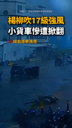 【恐怖第一排】楊柳吹17級強風！小貨車慘遭掀翻