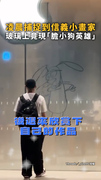 【默默被可愛到了】凌晨捕捉到小畫家在玻璃作畫「膽小狗英雄」