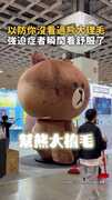 【熊大梳毛中】療癒理毛畫面讓強迫症者看舒服了