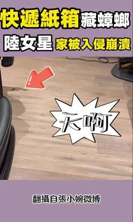 陸女星家中被蟑螂入侵！疑快遞紙箱惹禍