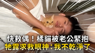 快救偶！橘貓被老公緊抱　牠露求救眼神：我不乾淨了