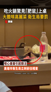 【高雄火鍋店】驚見老鼠上桌啃高麗菜