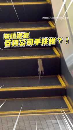 【小朋友上樓梯？】鼠鼠誤闖手扶梯陷入無限迴圈！