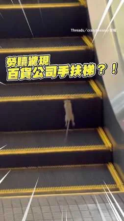 【小朋友上樓梯？】鼠鼠誤闖手扶梯陷入無限迴圈！