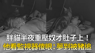 胖貓半夜重壓奴才肚子上！　他看監視器傻眼：夢到被豬追