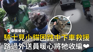 騎士見小貓困路中下車救援　路過外送員暖心將牠收編❤️