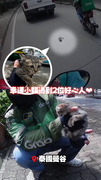 【小貓困路中】騎士下車救援！路過外送員暖心收編❤️