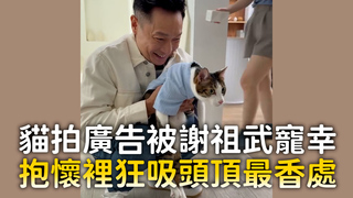 貓拍廣告被謝祖武寵幸　抱懷裡狂吸頭頂最香處