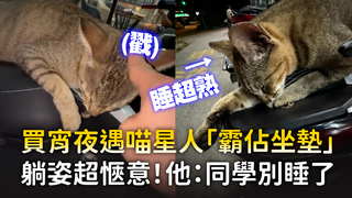 買宵夜遇喵星人「霸佔坐墊」　躺姿超愜意！他：同學別睡了