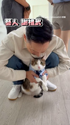 【貓貓被謝祖武寵幸】抱懷裡狂吸頭頂最香處XD