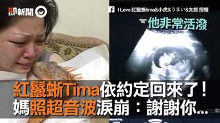 紅鬣蜥Tima依約定回來了！　媽照超音波淚崩：謝謝你...