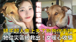 鏟子超人車上多了狗狗伴手禮　牠從災區被救出！女暖心收編❤️