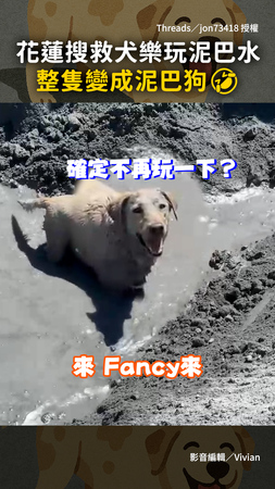 【說好的上班呢XD】太熱啦！花蓮搜救犬偷玩泥巴水 整隻變成泥巴狗