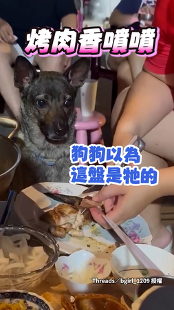 【這盤都偶的】米克斯水汪大眼+坐姿超正等肉肉吃