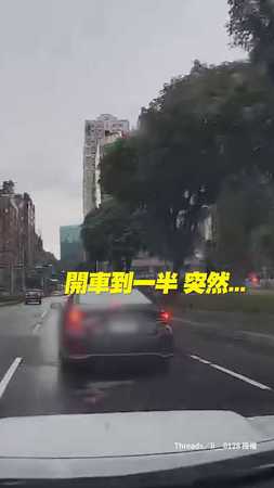 【一抱救了一條命】小貓馬路上瑟瑟發抖　她立刻停車相救❤