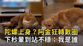 陀螺上身？阿金狂轉數圈　下秒暈到站不穩：我是誰