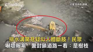 排水溝驚見疑似人體斷肢！民眾嚇壞報案　警封鎖道路一看：是樹枝