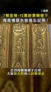 【7根金條、12萬鈔票躺樹下】警查半天…竟是獨居失智老翁忘記帶