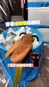 【拍翅聲神還原】鸚鵡穿蟑螂裝偷翻垃圾桶！還會鑽冰箱縫XD
