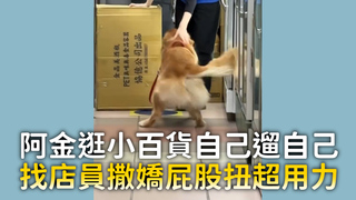 阿金逛小百貨自己遛自己　找店員撒嬌屁股扭超用力