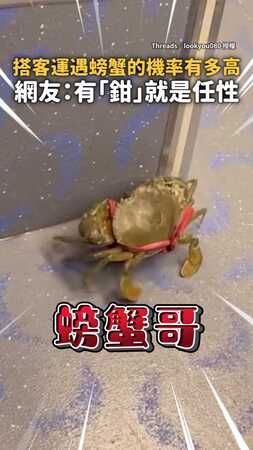 【有鉗就是任性】搭客運竟遇自帶紅線的蟹老闆