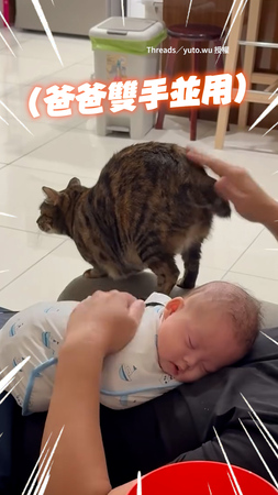 【同時拍拍寶寶&貓咪】爸爸雙手並用忙翻XD