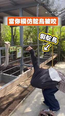 【愛到鴕斜】男扮鴕鳥靠近本尊秒被咬　網笑：是會動的尖嘴鉗