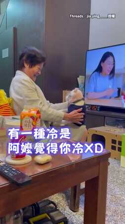 【阿嬤覺得你冷】怕貓冷幫牠穿毛帽毛衣　貓想逃還被抓回來XD