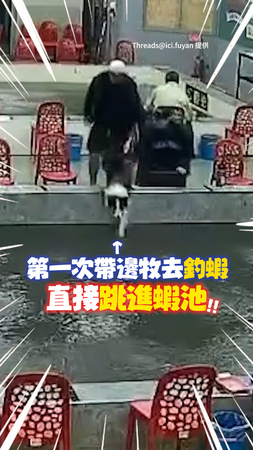 【直接跳進蝦池】邊牧第一次去釣蝦上演跳水！吹乾還飄蝦味