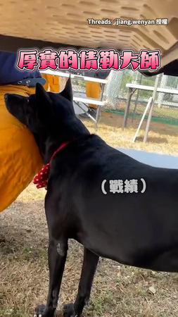 【怎麼忍得住XD】消防員吃飯被黑狗饋頭情勒！