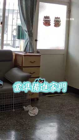 【誰在敲門？】萌犬聽到叩叩聲　秒衝到門前守株待兔XD