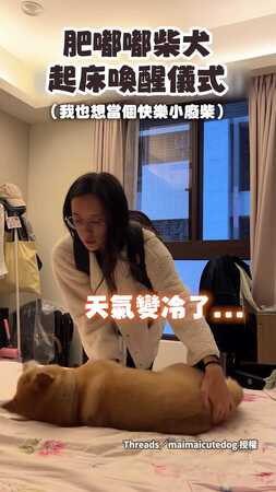 【快樂小廢柴】媽媽抱起肥嘟嘟柴犬！用起床儀式喚醒賴床小狗狗