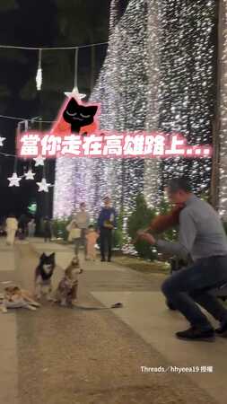 【狗狗也懂音樂】牠們靜靜趴著聽，大哥也蹲下演奏❤