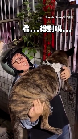 【為了毛孩的友誼拚了】巨狗想見朋友　媽直接扛起牠讓兩狗相見