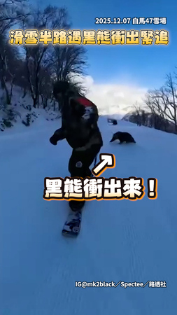 【千萬不能跌倒】日本選手白馬雪場滑雪...半路遇黑熊殺出來緊追！