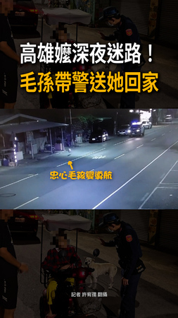 【阿嬤沒白養】毛孫小白變導航！深夜助警送她回家