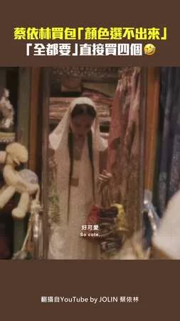 蔡依林買包「顏色選不出來」　「全都要」直接買四個