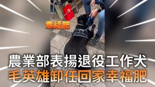農業部表揚退役工作犬　毛英雄卸任回家幸福肥